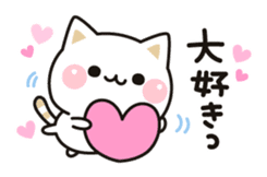 Cat to concern by DECOR