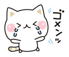 Cat to concern by DECOR