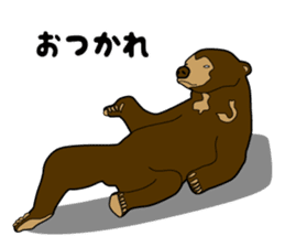 KumaGoro of Sun bear sticker #5172772