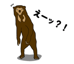 KumaGoro of Sun bear sticker #5172773