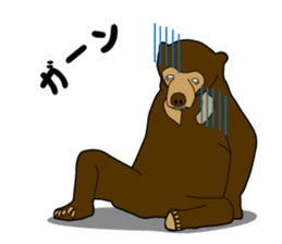 KumaGoro of Sun bear sticker #5172781