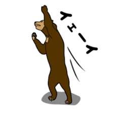 KumaGoro of Sun bear sticker #5172782