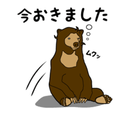 KumaGoro of Sun bear sticker #5172788