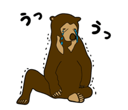 KumaGoro of Sun bear sticker #5172793