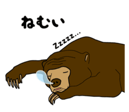KumaGoro of Sun bear sticker #5172796