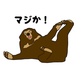 KumaGoro of Sun bear sticker #5172797