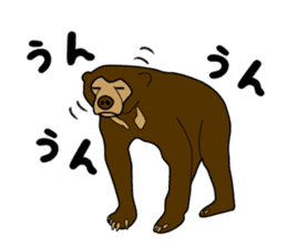 KumaGoro of Sun bear sticker #5172801