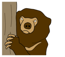 KumaGoro of Sun bear sticker #5172805