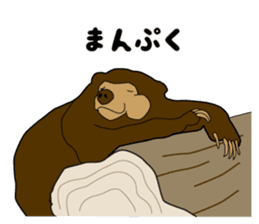 KumaGoro of Sun bear sticker #5172809