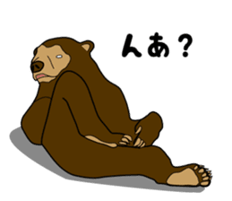 KumaGoro of Sun bear sticker #5172811