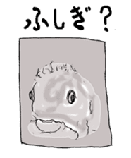 Animal face variety. sticker #5175019