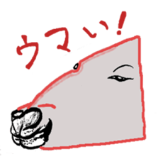 Animal face variety. sticker #5175031