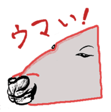 Animal face variety. sticker #5175031