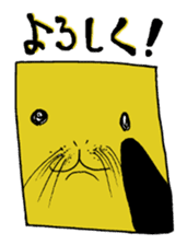 Animal face variety. sticker #5175047