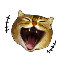 DramaCatz sticker #5175178