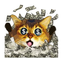 DramaCatz sticker #5175183