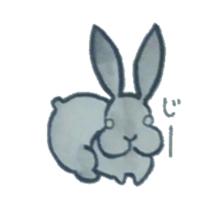 black rabbit Sticker sticker #5177551