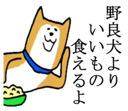 A nice dog sticker #5178617