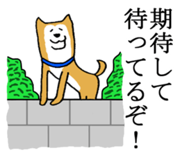 A nice dog sticker #5178630