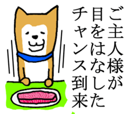 A nice dog sticker #5178642