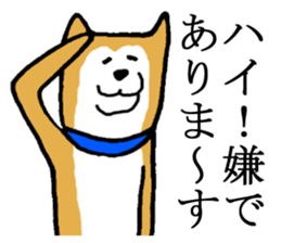 A nice dog sticker #5178645