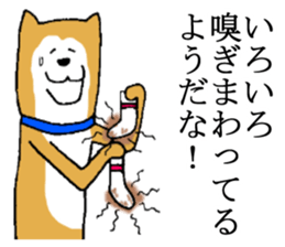 A nice dog sticker #5178648