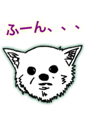 Chihuahua days sticker #5178918