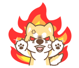 Shiba Inu collection! sticker #5180707