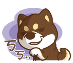 Shiba Inu collection! sticker #5180708