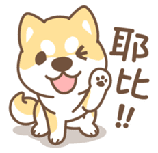 Shiba Inu collection! sticker #5180722