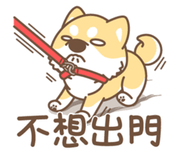Shiba Inu collection! sticker #5180724