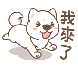 Shiba Inu collection! sticker #5180726