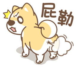 Shiba Inu collection! sticker #5180731