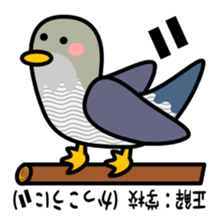 Quiz stickers sticker #5183904