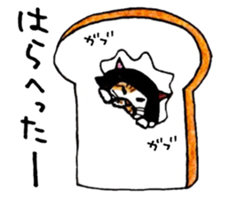 Bobbed hair cat 2. sticker #5184117