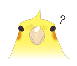 Surreal Cockatiel sticker sticker #5184652