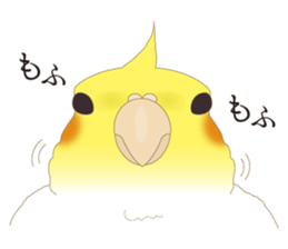 Surreal Cockatiel sticker sticker #5184653