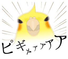 Surreal Cockatiel sticker sticker #5184658