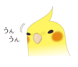 Surreal Cockatiel sticker sticker #5184662
