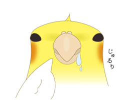 Surreal Cockatiel sticker sticker #5184664