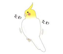 Surreal Cockatiel sticker sticker #5184667