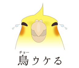 Surreal Cockatiel sticker sticker #5184670