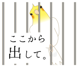 Surreal Cockatiel sticker sticker #5184685