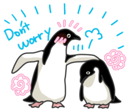 Lovely Penguin. sticker #5188020