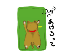 whimsical Japanese  Shiba"hachi". sticker #5190454