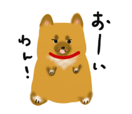 whimsical Japanese  Shiba"hachi". sticker #5190458