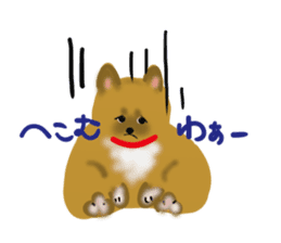 whimsical Japanese  Shiba"hachi". sticker #5190464