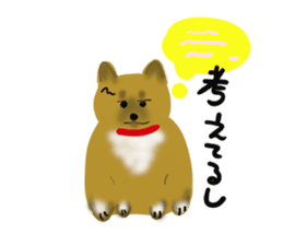 whimsical Japanese  Shiba"hachi". sticker #5190467