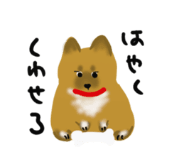 whimsical Japanese  Shiba"hachi". sticker #5190468