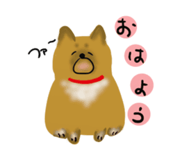 whimsical Japanese  Shiba"hachi". sticker #5190484